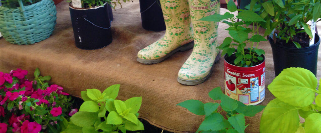 Boots in a garden display
