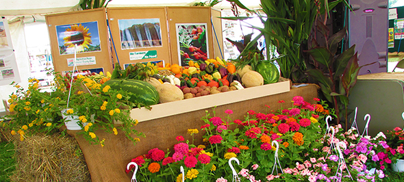 Garden and plant display