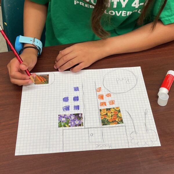 A young TOPS Camp attendee designs a colorful purple and orange garden with a pond and a carrot patch