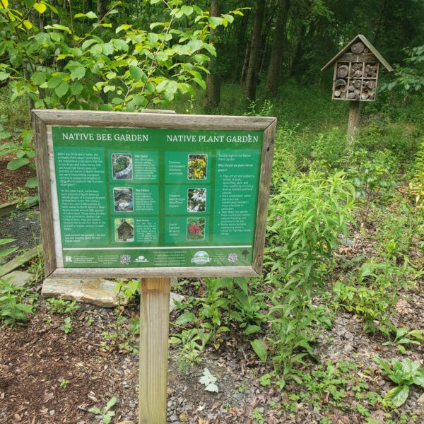 A signpost with a green poster that reads "Native Bee Garden, Native Plant Garden" sits in front of a garden. In the background is a wooden bee hotel.