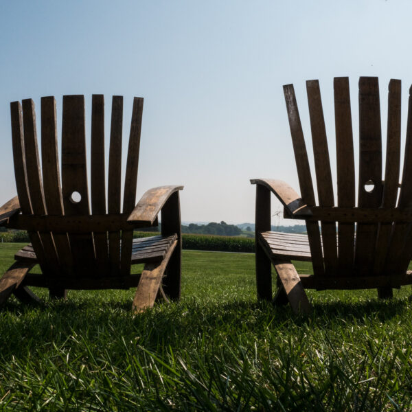 Two empty Adirondack chairs face away from the viewer. They sit in shadow on a lawn of verdant grass.