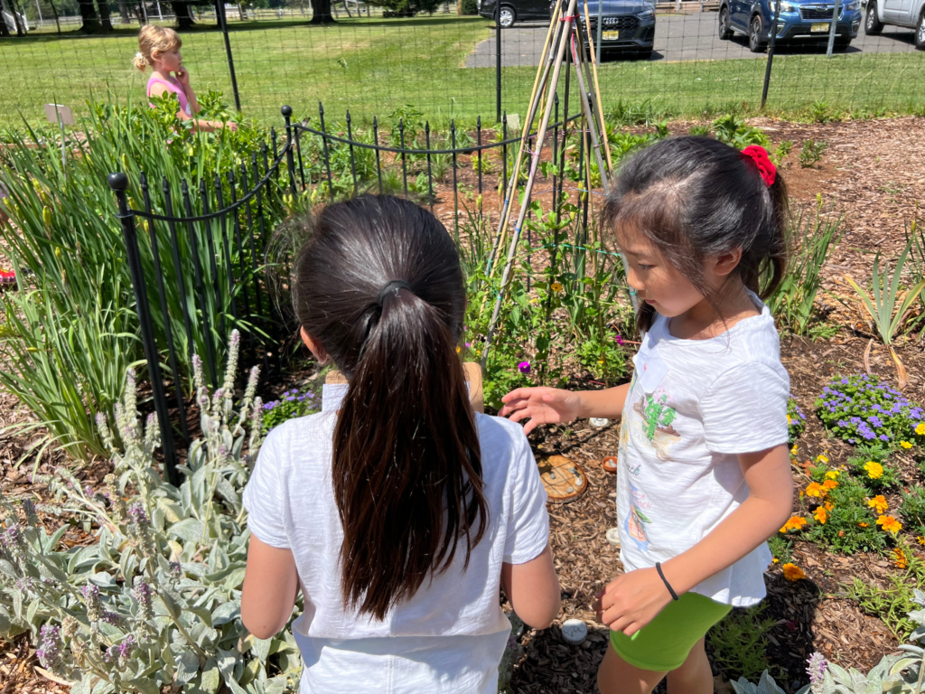 Two children peruse the scented and textured plants at the Rutgers Master Gardener Sensory Garden