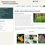 A screenshot of the Duke Island Park Native Plants page on the Somerset County Parks Commission Website describes the importance of native plants and features images of native wildflowers.