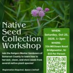 A dark green flyer with white text describing the event