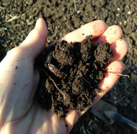 A handful of dark soil